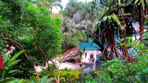 A lush garden with a pool, surrounded by various plants and trees. - Condominium 206 Matapalo ideal for family trips and work online.  (Tamarindo)