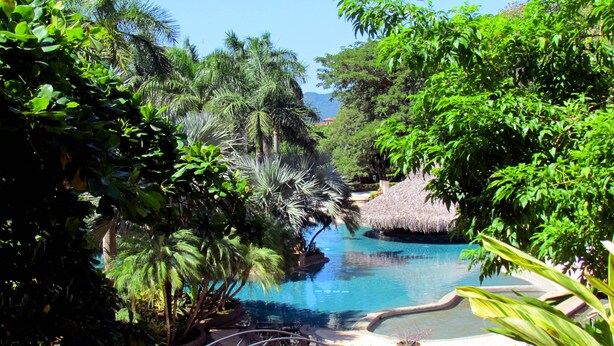A pool area with a bridge, surrounded by lush greenery and a thatched-roof structure. - Condominium 206 Matapalo ideal for family trips and work online.  (Tamarindo)
