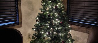 Cozy Cabin with Views