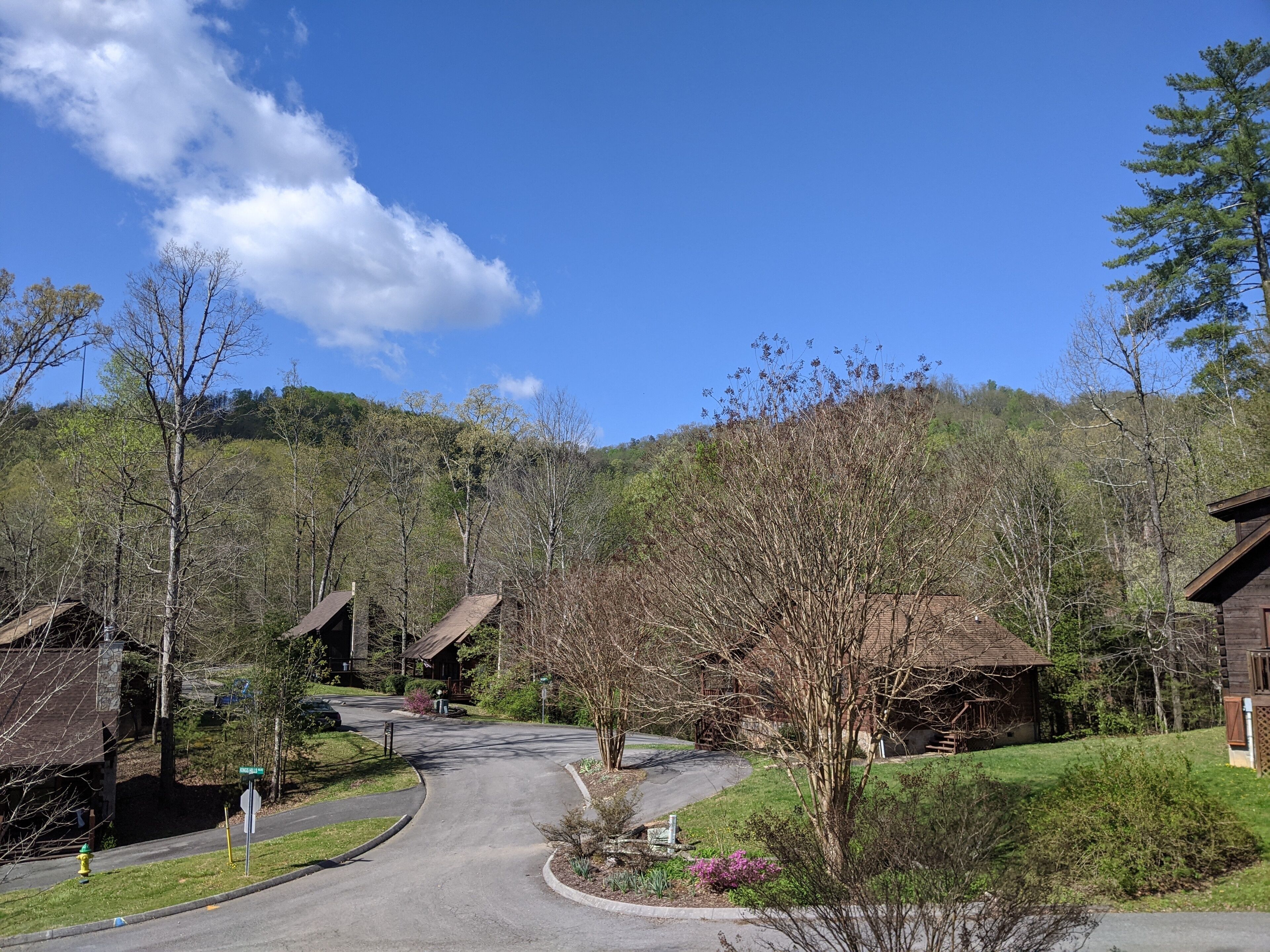 A residential area with houses, a curved driveway, and a forested hillside in the background.