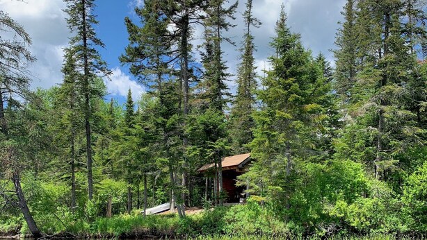 A cabin surrounded by tall trees and a calm lake. - Beautiful retreat in the Adirondack Park (Malone)