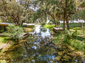 Property grounds - Adventure Awaits on Canal Front Lake Kerr in Beautiful Ocala National Forest! (Salt Springs)