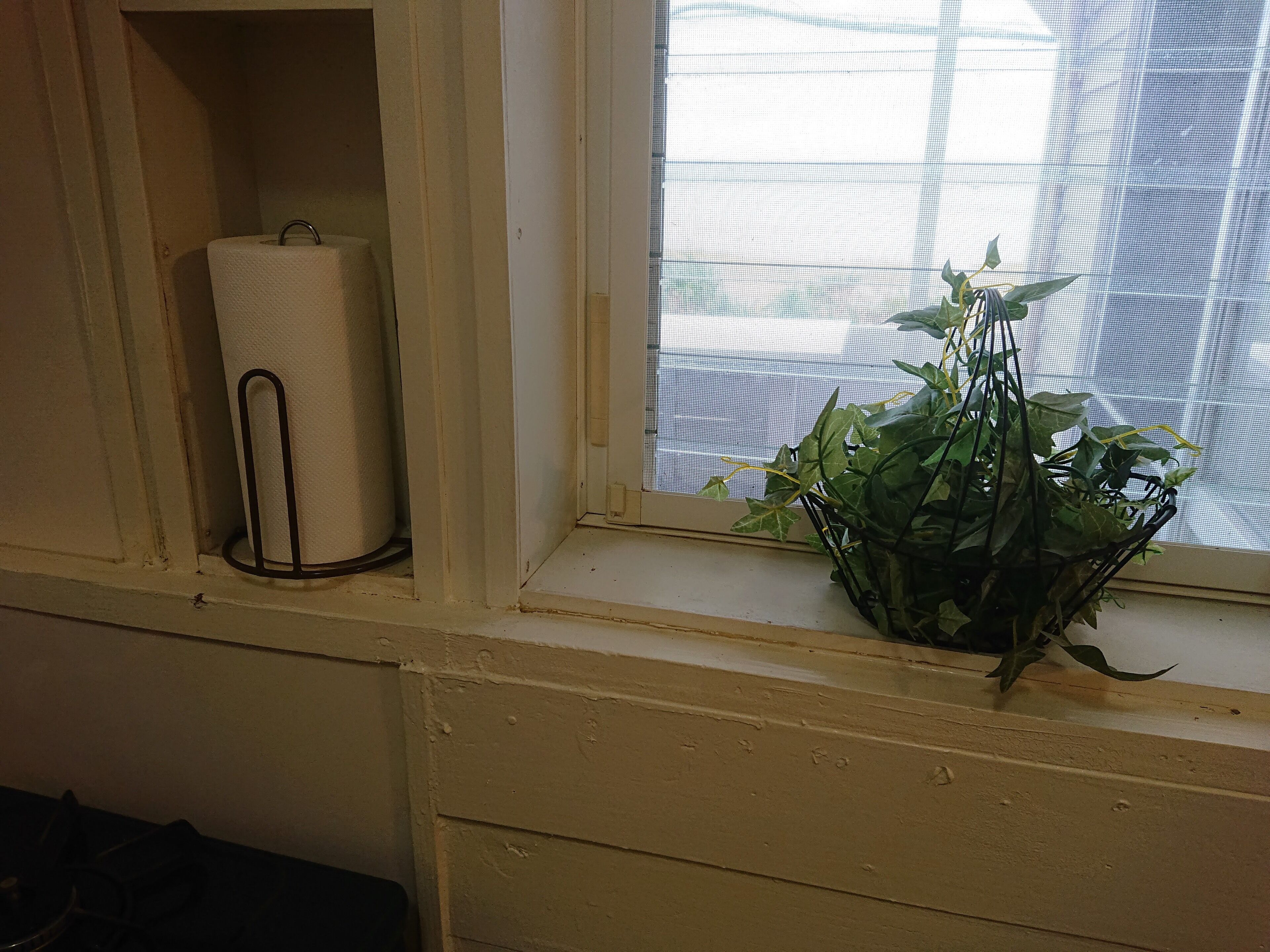 Uma janela com uma planta e um rolo de papel.