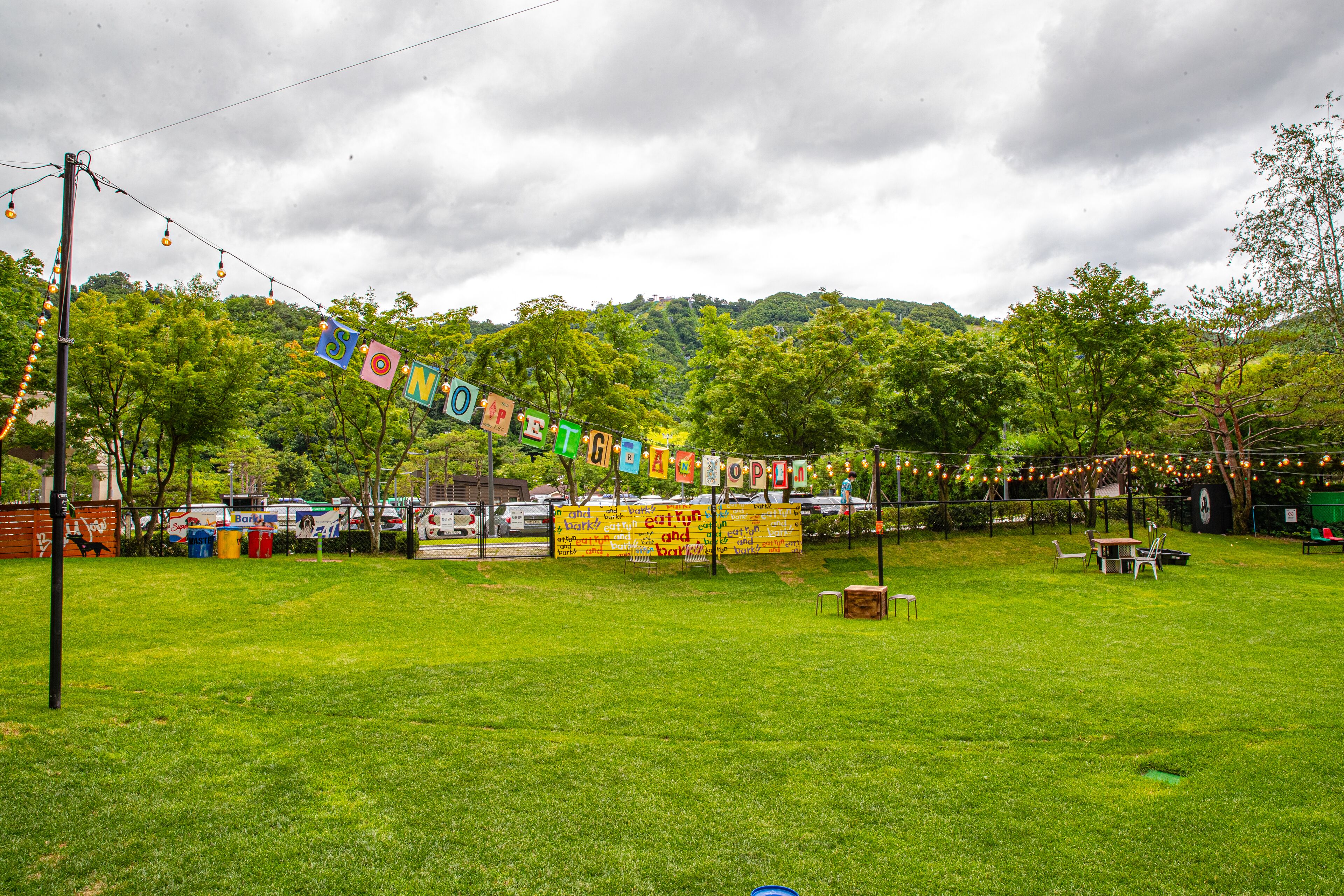 A grassy outdoor area with a string of colorful letters spelling out a message, a yellow banner with text, and a picnic table.