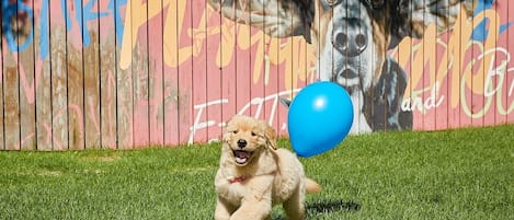 Premium bedding, blackout drapes, free WiFi