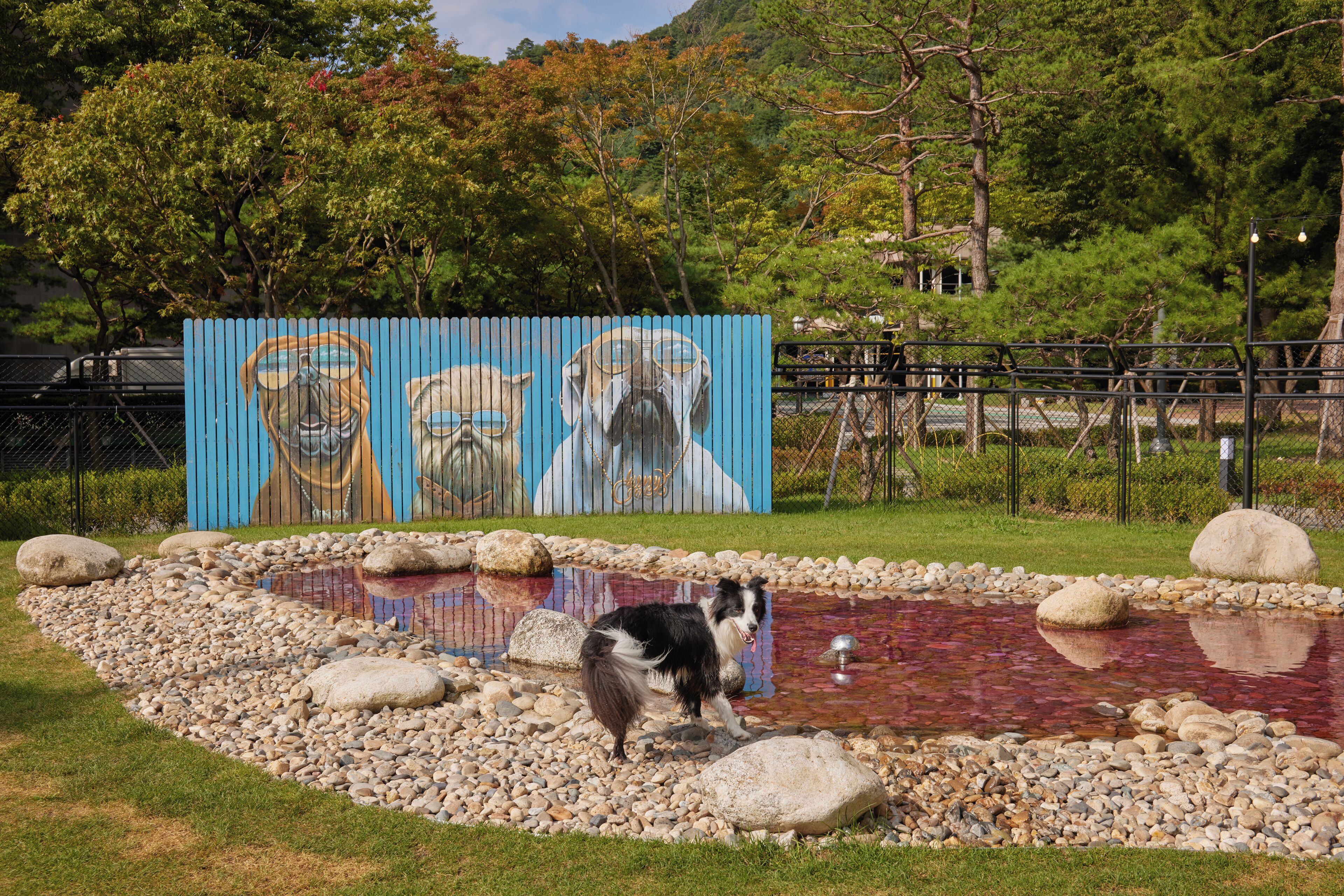 2 bedrooms, premium bedding, blackout curtains, free wifi