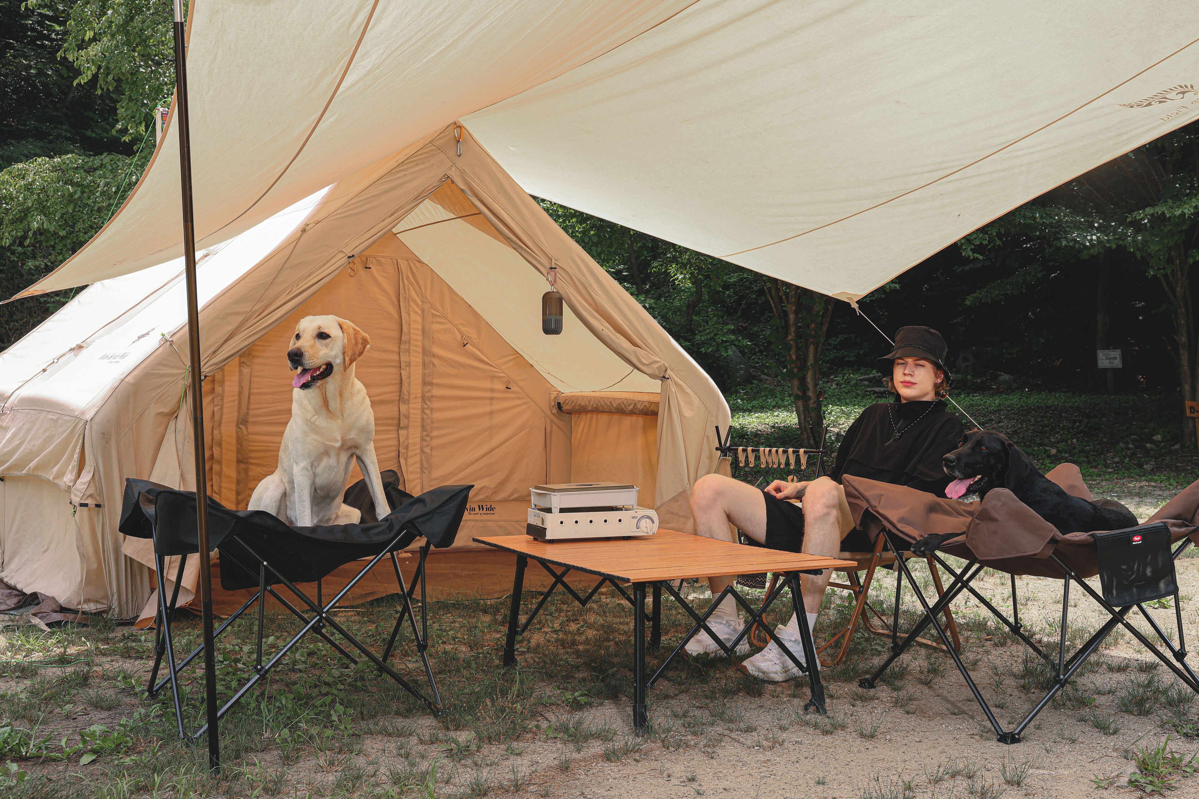 Una carpa con una mesa, sillas, un perro y una persona sentada adentro.