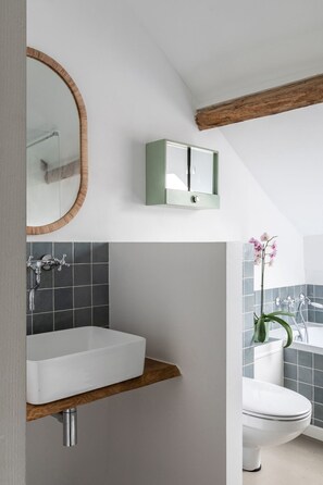 Bathtub, hair dryer, towels, soap - Longere et dependances dans le Perche (COUETRON AU PERCHE)
