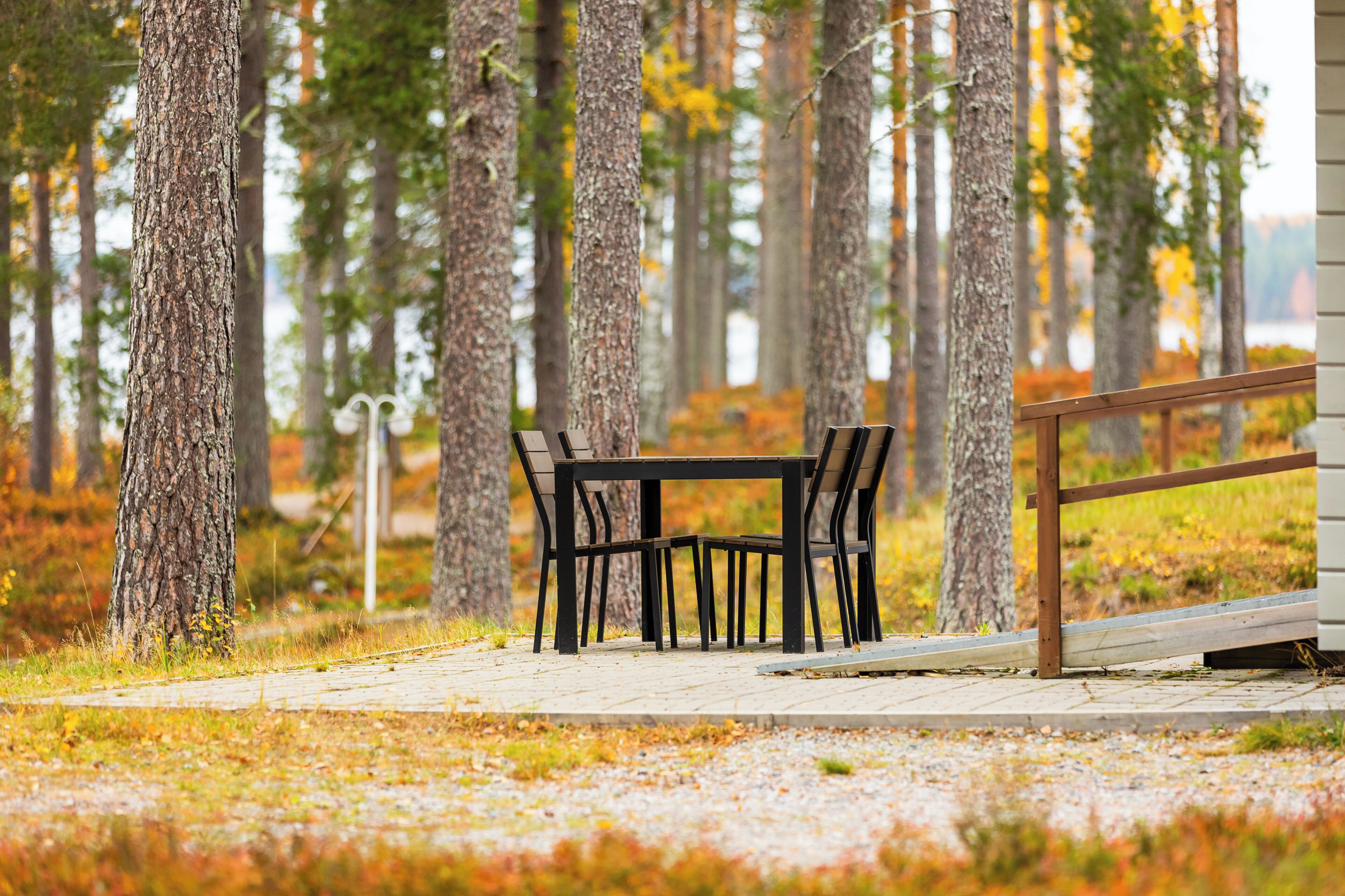 A wooden bench and table set in a forested area with a view of a lake.