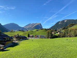 Immagine non classificata, 2 di 34, pulsante