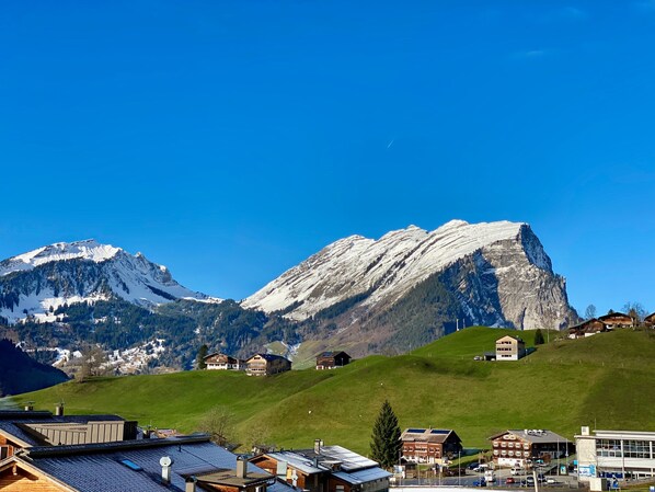 Immagine non classificata, 1 di 34, pulsante