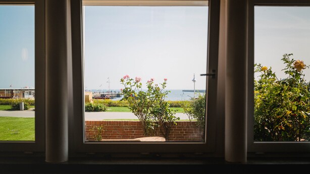 A view through a window with a brick wall and a flower bed. - Haus Roland (Helgoland)