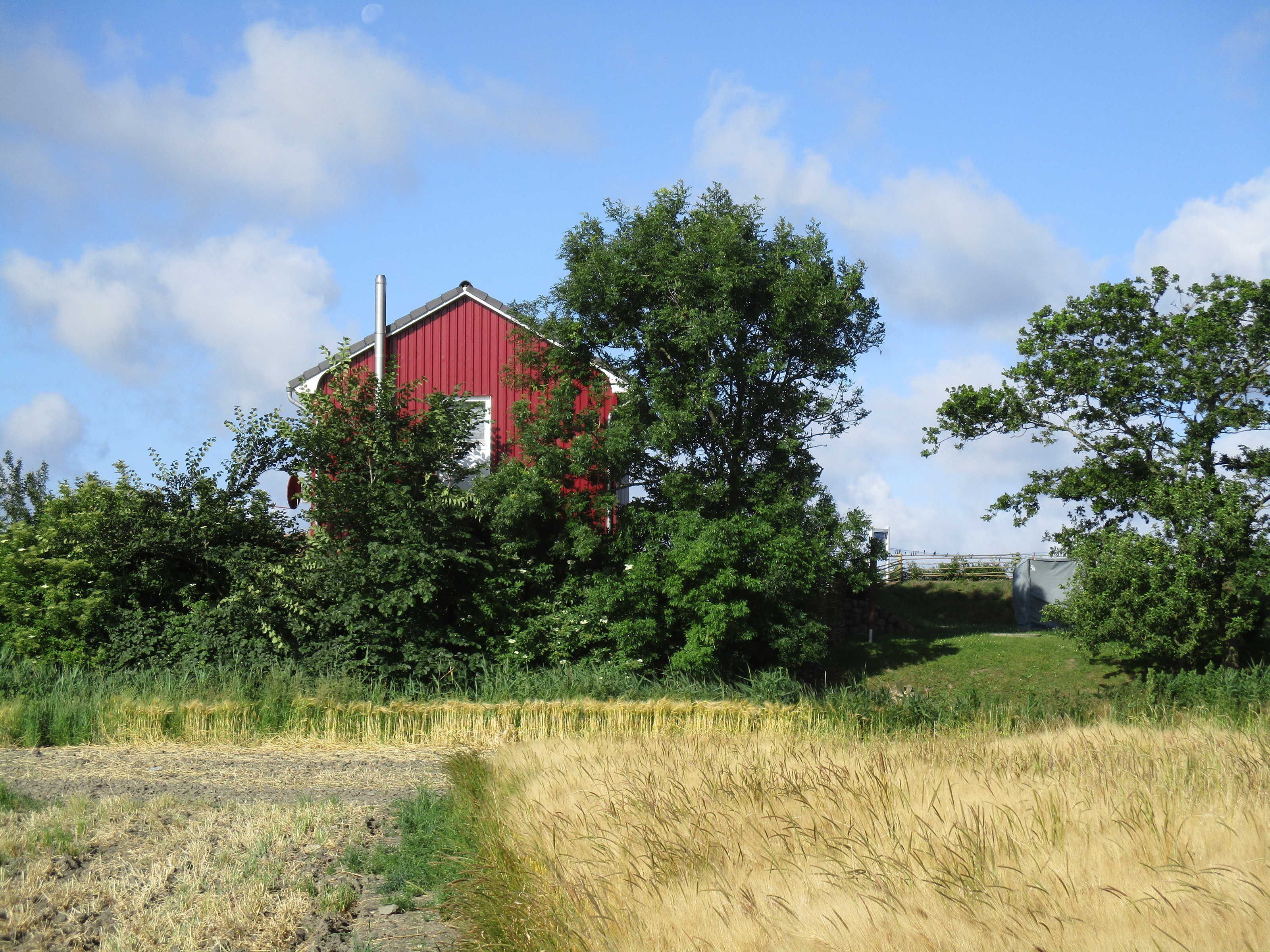 Ein rotes Bauernhaus, umgeben von Bäumen und einem grünen Feld.