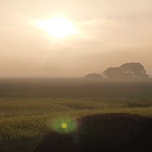 Imagen sin descripción, 5 de 32, botón