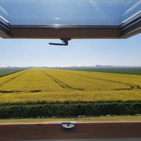 Imagen sin descripción, 1 de 32, botón