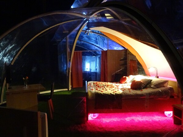 1 bedroom, iron/ironing board, WiFi, wheelchair access