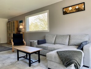 Televisio, DVD-soitin, pöytätennispöytä, kirjoja