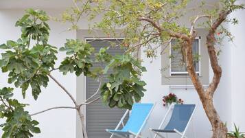 Vila Mewah | Teras/patio