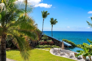 A tropical resort with a pool, palm trees, and a view of the ocean. - Summer Deal Kona Oceanfront Estate with Pool Water Slide Guest House (Kauilua Kona)