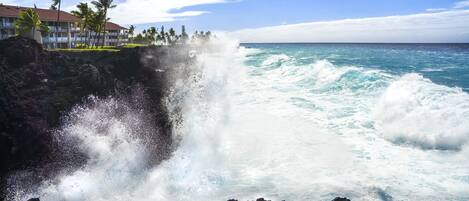 Escena costera con un litoral rocoso, olas rompiendo contra las rocas y un edificio con balcones y palmeras al fondo.