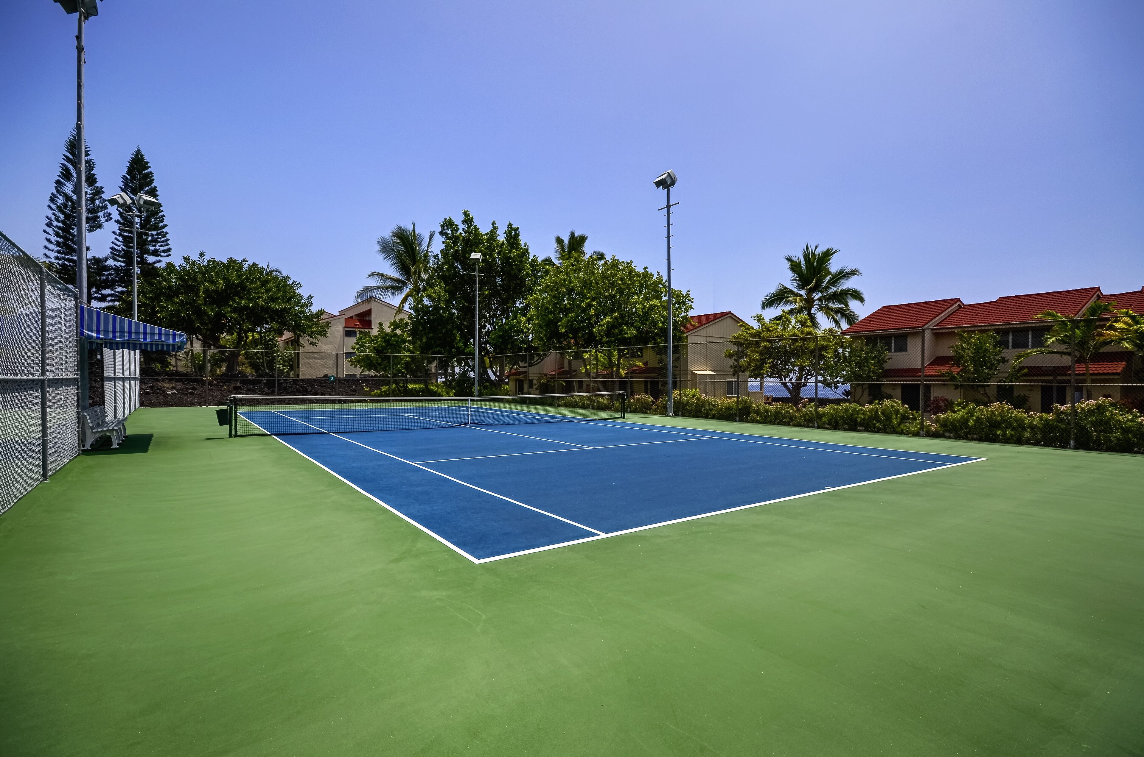 Un court de tennis avec un filet, entouré d’une clôture, et des palmiers en arrière-plan.