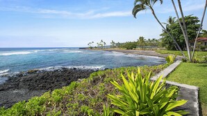 A coastal view with a rocky shoreline, palm trees, and a clear sky.