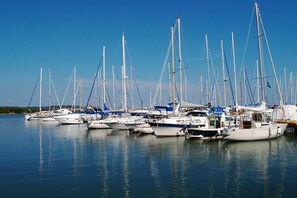 Marina