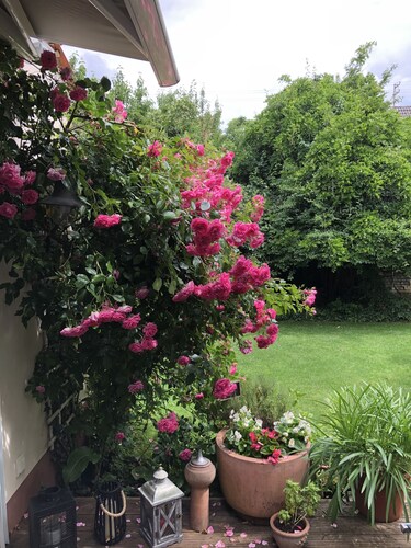 80qm Ruhige, Grüne Innenstadtlage 10 Min. zur Pulsierenden Altstadt