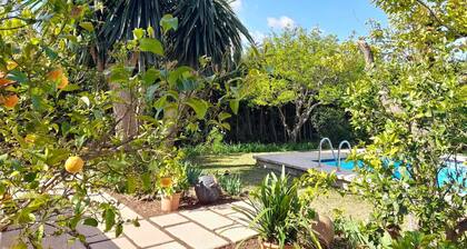 Beautiful villa & pool in Pollensa 8 pax