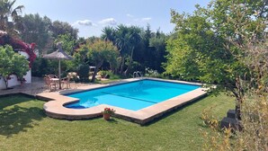 Una piscina rettangolare con bordo curvo, circondata da un prato curato e diversi alberi.