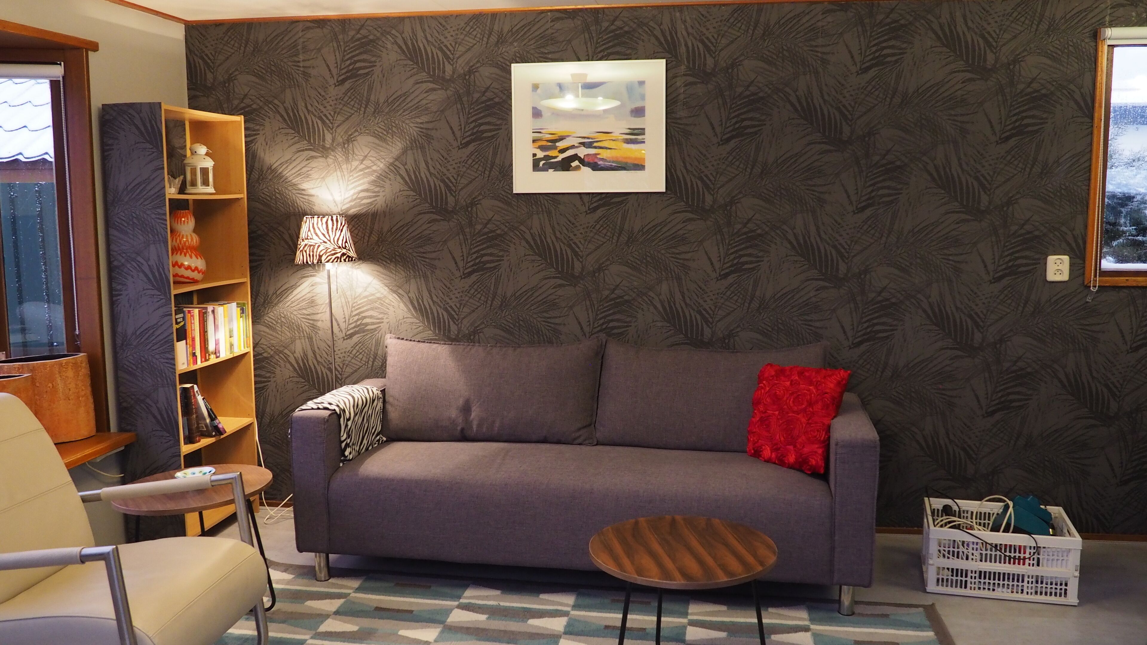 Een televisie, een dvd-speler, boeken en een filmbibliotheek