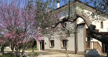 Az. Agr. Parco dei Buoi