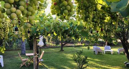 Az. Agr. Parco dei Buoi