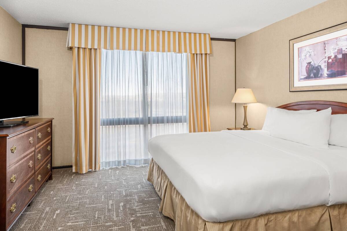 Habitación de hotel con una cama, televisión, cómoda, lámpara y un cuadro en la pared.
