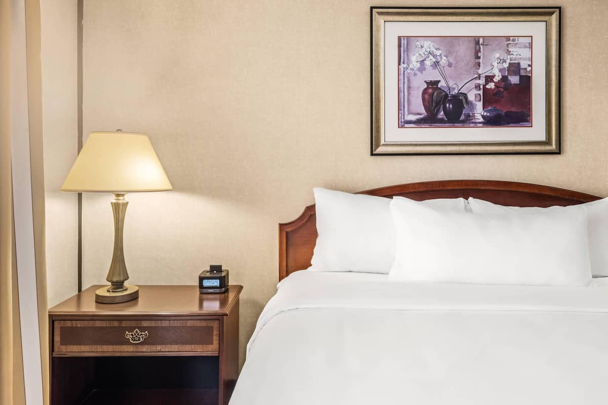 Svit - 1 kingsize-säng med bäddsoffa - icke-rökare | Sängtillbehör av högsta kvalitet, bäddmadrasser och skrivbord