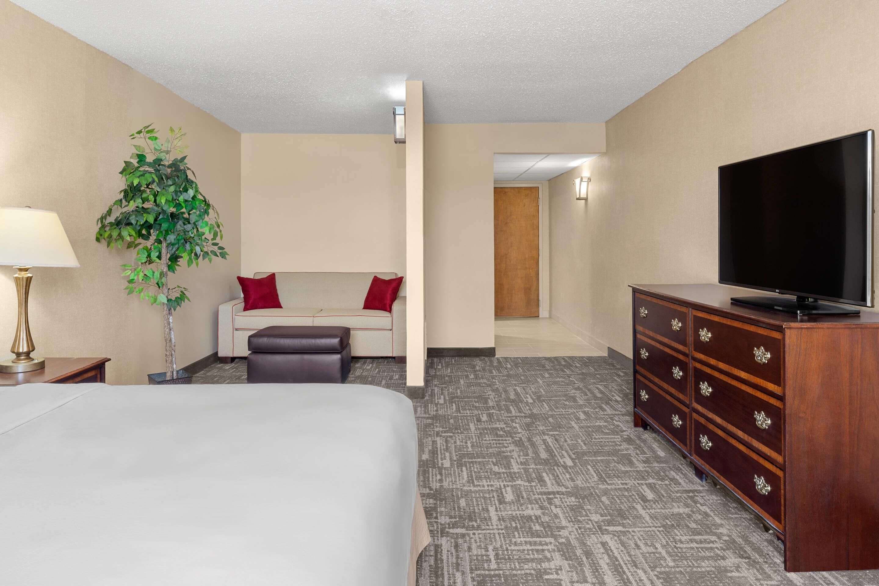 Una habitación de hotel con una cama, televisión, cómoda, planta, lámpara y una almohada roja.