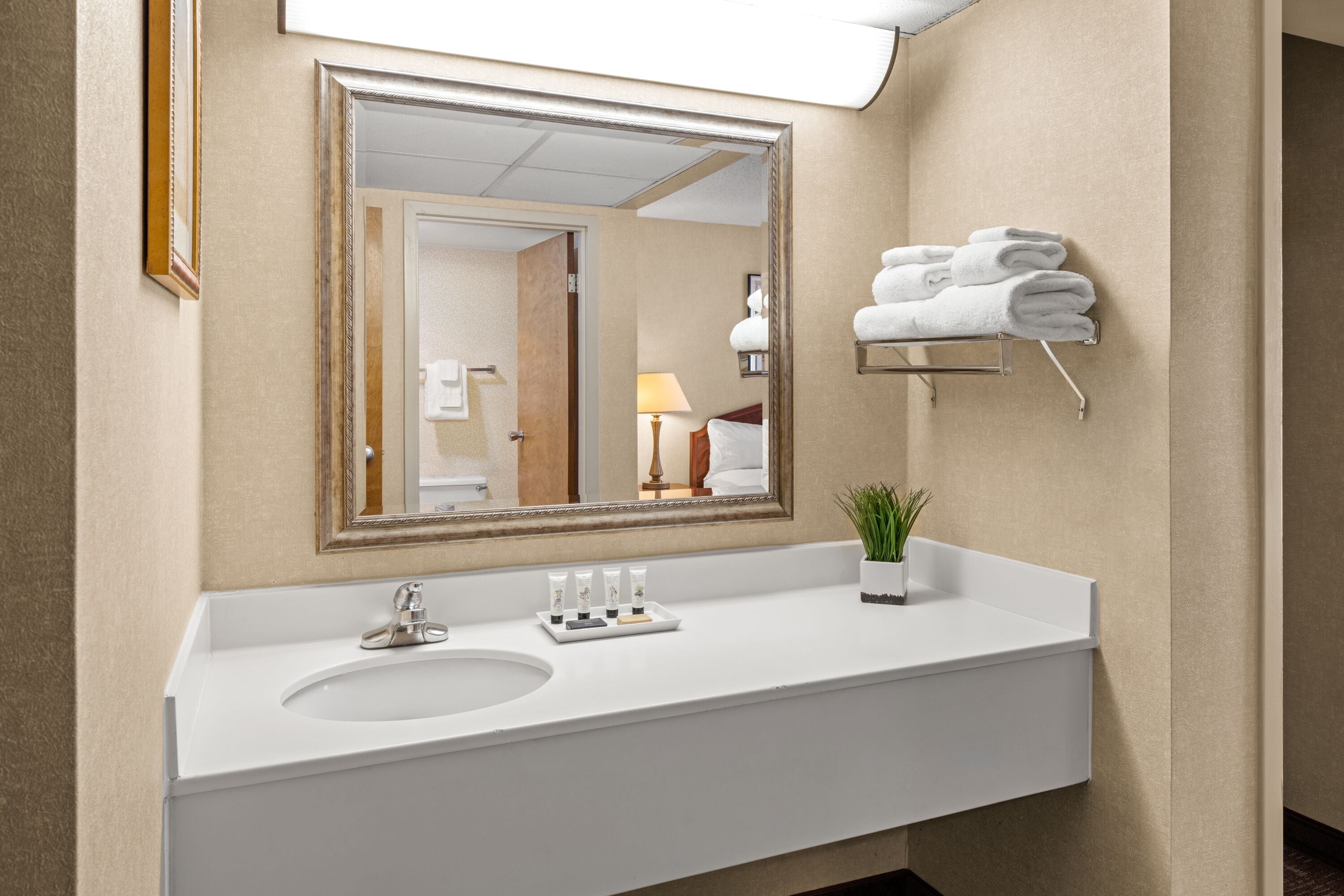 Un baño de hotel con un espejo grande, un lavamanos y un perchero para toallas.
