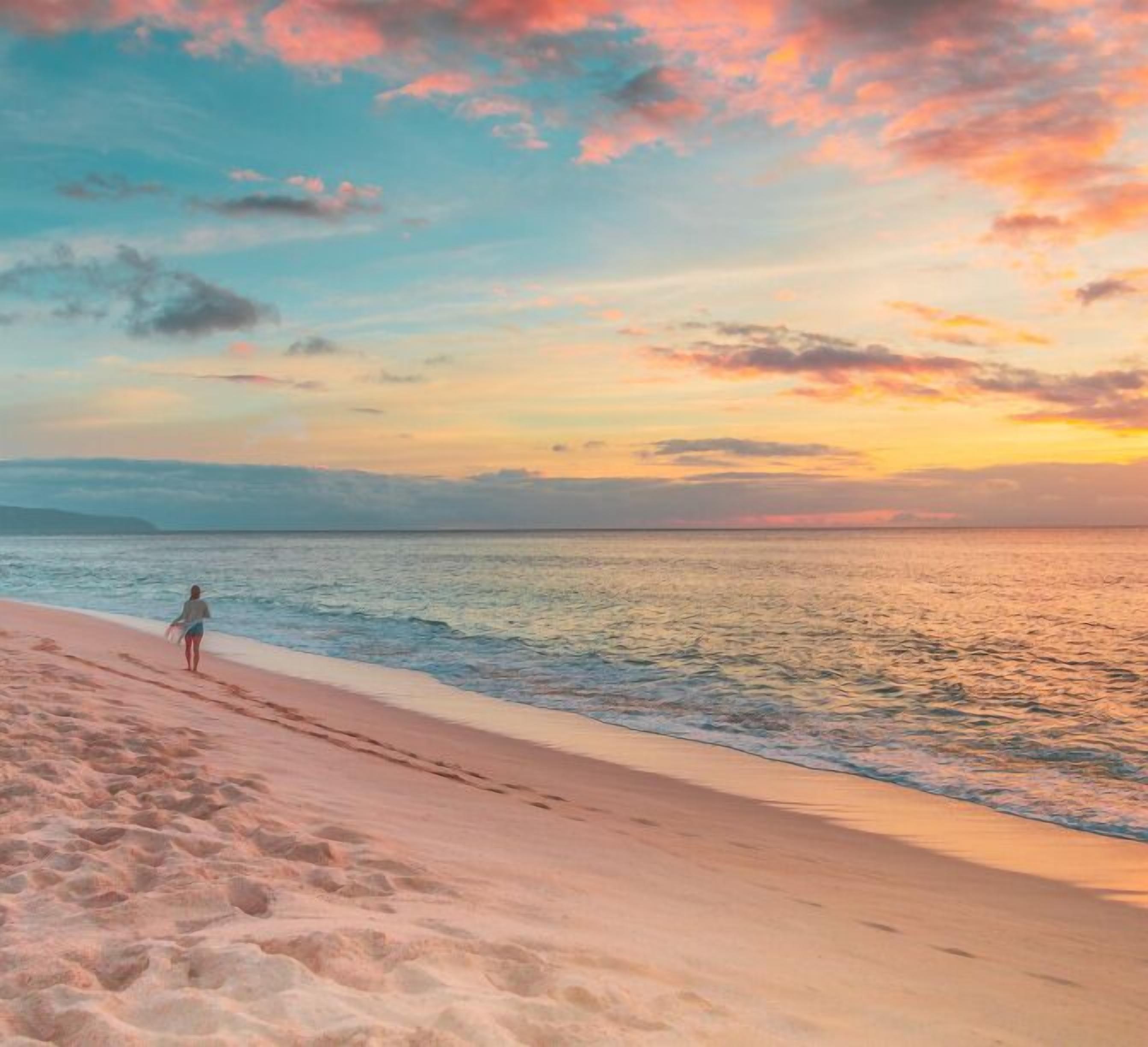 在海灘附近、躺椅