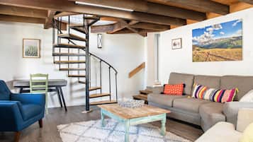 Télévision, cheminée, livres