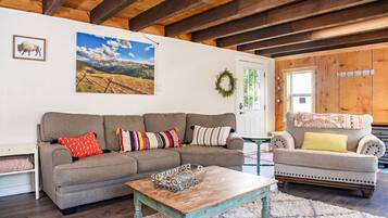 Télévision, cheminée, lecteur de DVD, livres