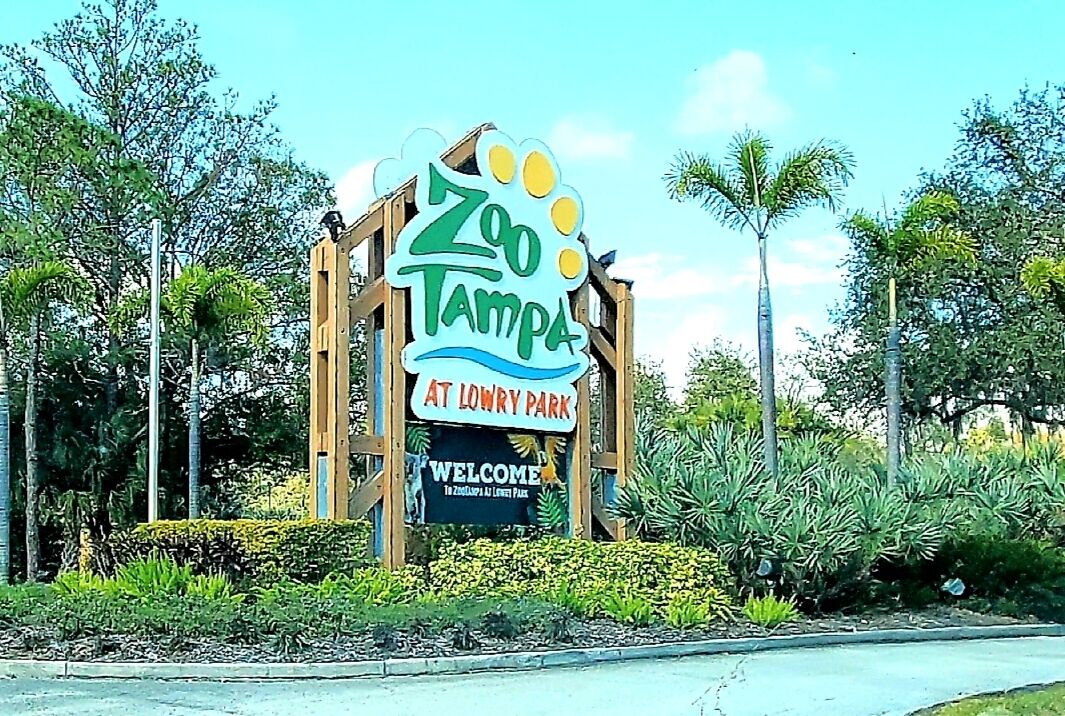 Lowry park zoo apartment