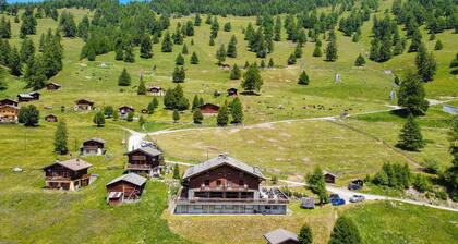 Des Alpes (003) - ON THE SLOPES apartment 10 pers