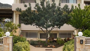 Una casa de dos pisos con un camino de ladrillos, un árbol en el centro y una puerta de garaje.