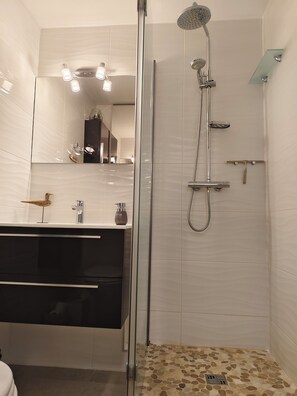 Shower, hair dryer