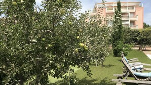 A tree with green apples, a grassy area, and a building with balconies in the background. - Location Villa (Fréjus)