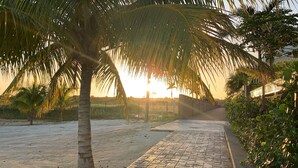 A paved pathway lined with palm trees and a fence, leading towards a sunset. - Luxury Private Beachfront Escape (Ocho Rios)
