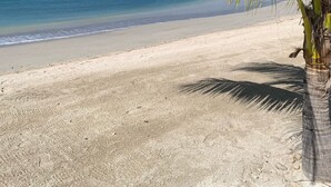 A beach with a palm tree, clear blue sky, and calm sea. - Luxury Private Beachfront Escape (Ocho Rios)