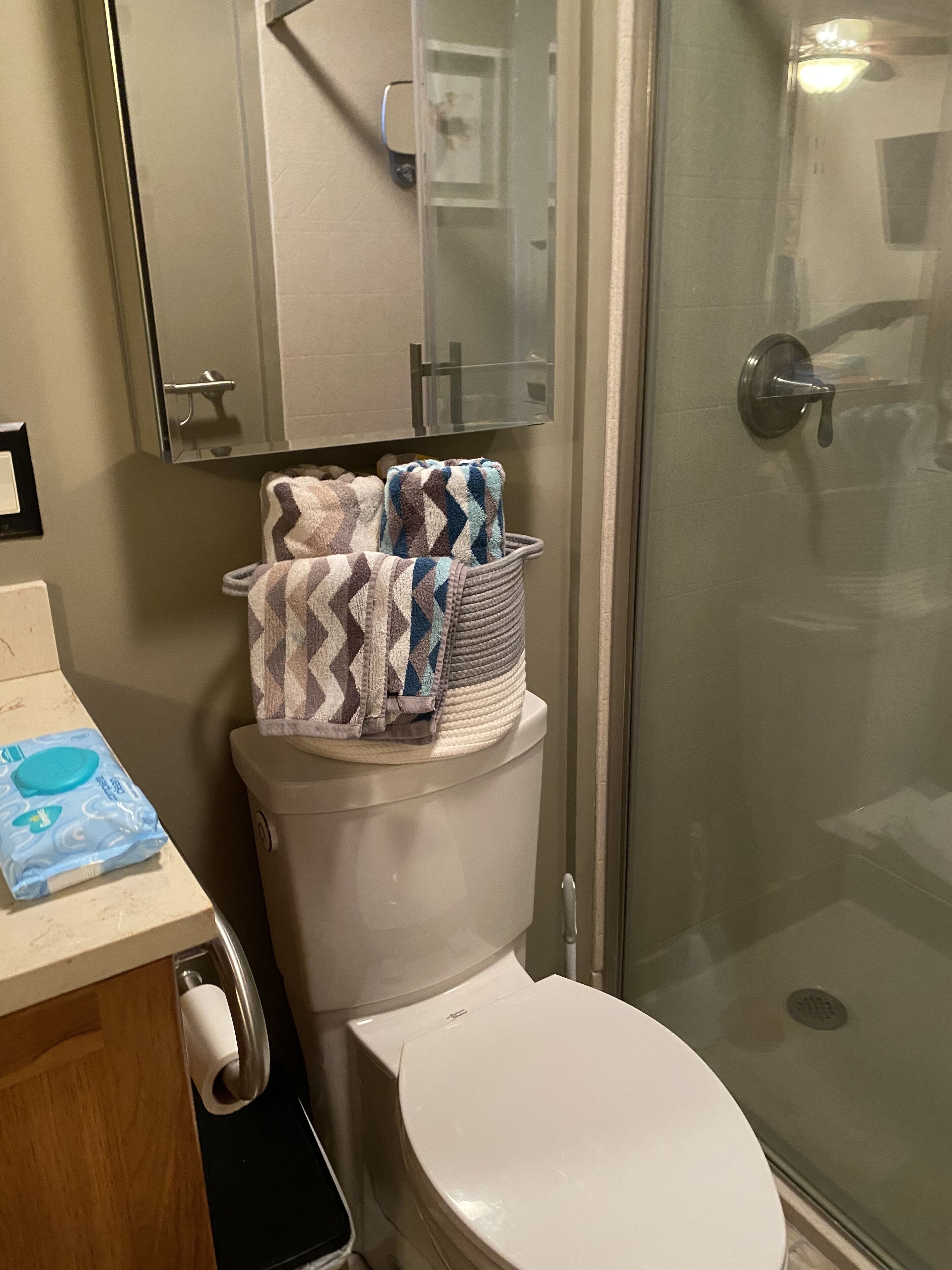 A bathroom with a toilet, a shower stall, and a mirror above the sink.