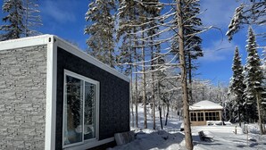 A modern cabin with a stone exterior and large windows, surrounded by snow-covered trees. - Tiny House on the River with Wifi, Sauna and Hot Tub. (Burks Falls)