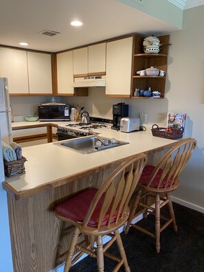 Fridge, microwave, oven, stovetop - Ski in Ski out! top of the A quad chairlift (Ludlow)